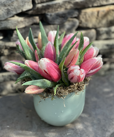 Tulip Bowl