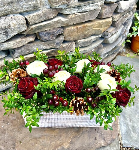 Burgundy &amp; Berries