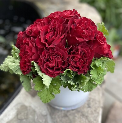 red heart roses