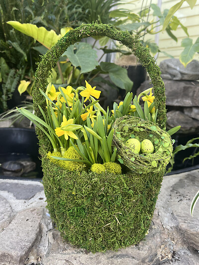 Moss Basket Garden